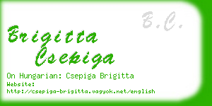 brigitta csepiga business card